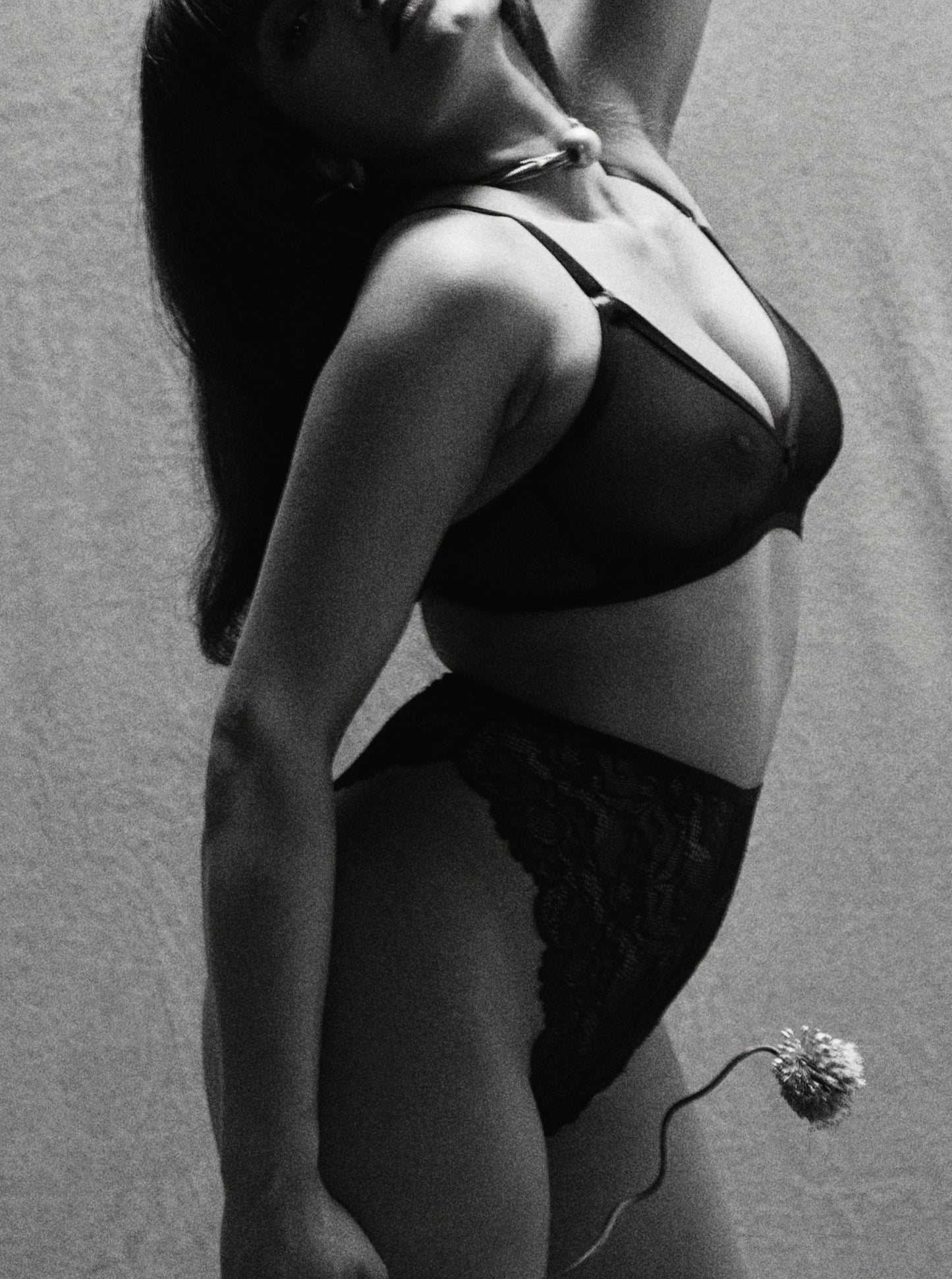 Bully Boy: Dora High-Waisted Lace Panty - XXL