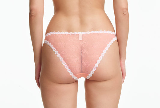 Yasmine Eslami: Tamara Flower Mesh Lace Panty - Orange Blossom