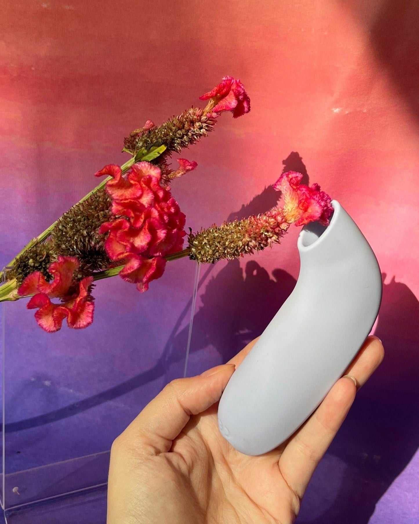 Dame: Aer Suction Toy