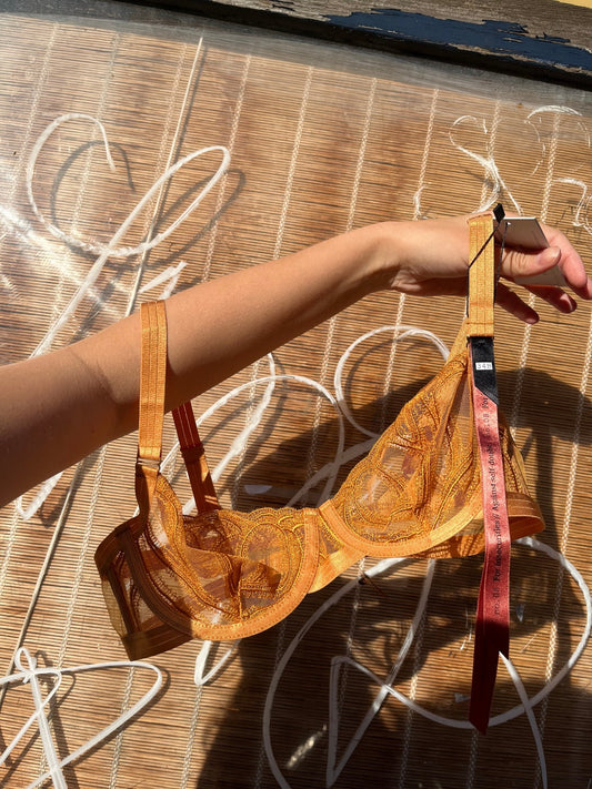 The Underargument: What Doesn't Break You... Demi Bra - 30F