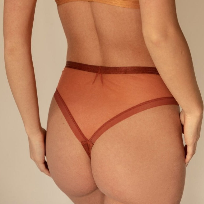 The Underargument: Learn from Your Body Mesh Brazilian Brief - Sienna –  Azaleas