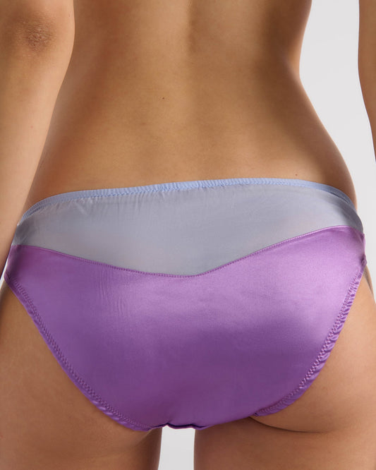 Araks: Aaron Silk Panty Brief - Viola