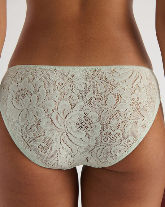 Araks: Tris Lace Panty - Caledonia