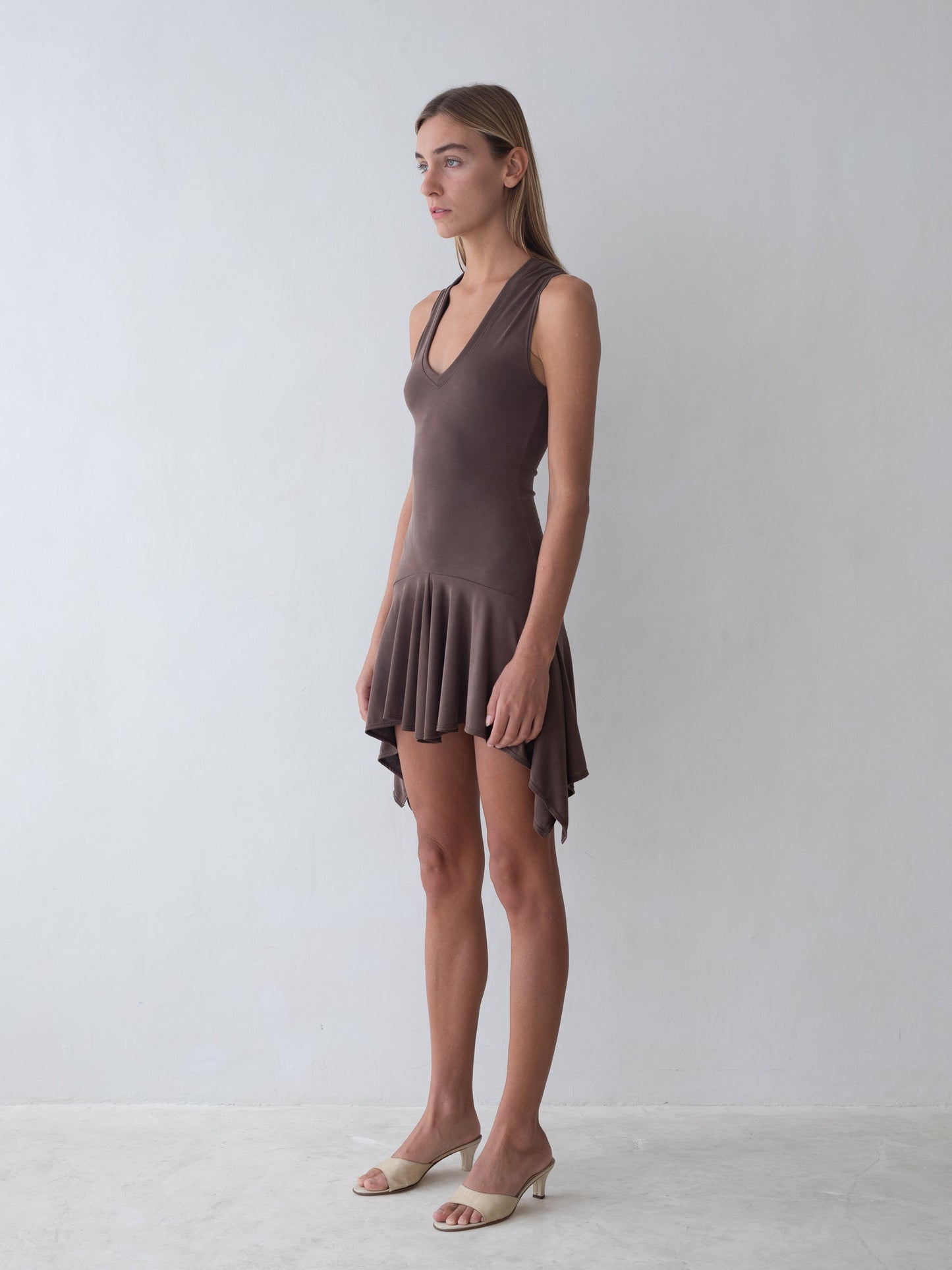 Belle Anna: Park Dress - Brown