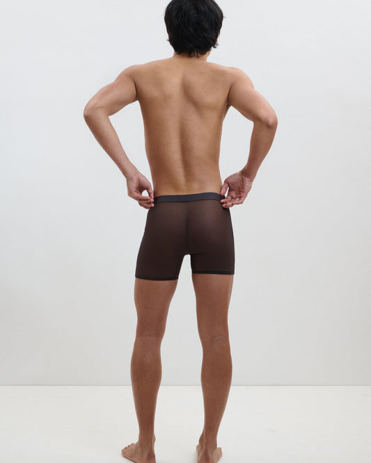 Full Of Desire: Jonathan Mesh Boxer - Brown