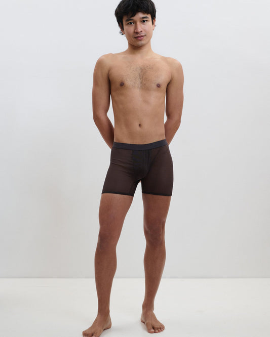 Full Of Desire: Jonathan Mesh Boxer - Brown