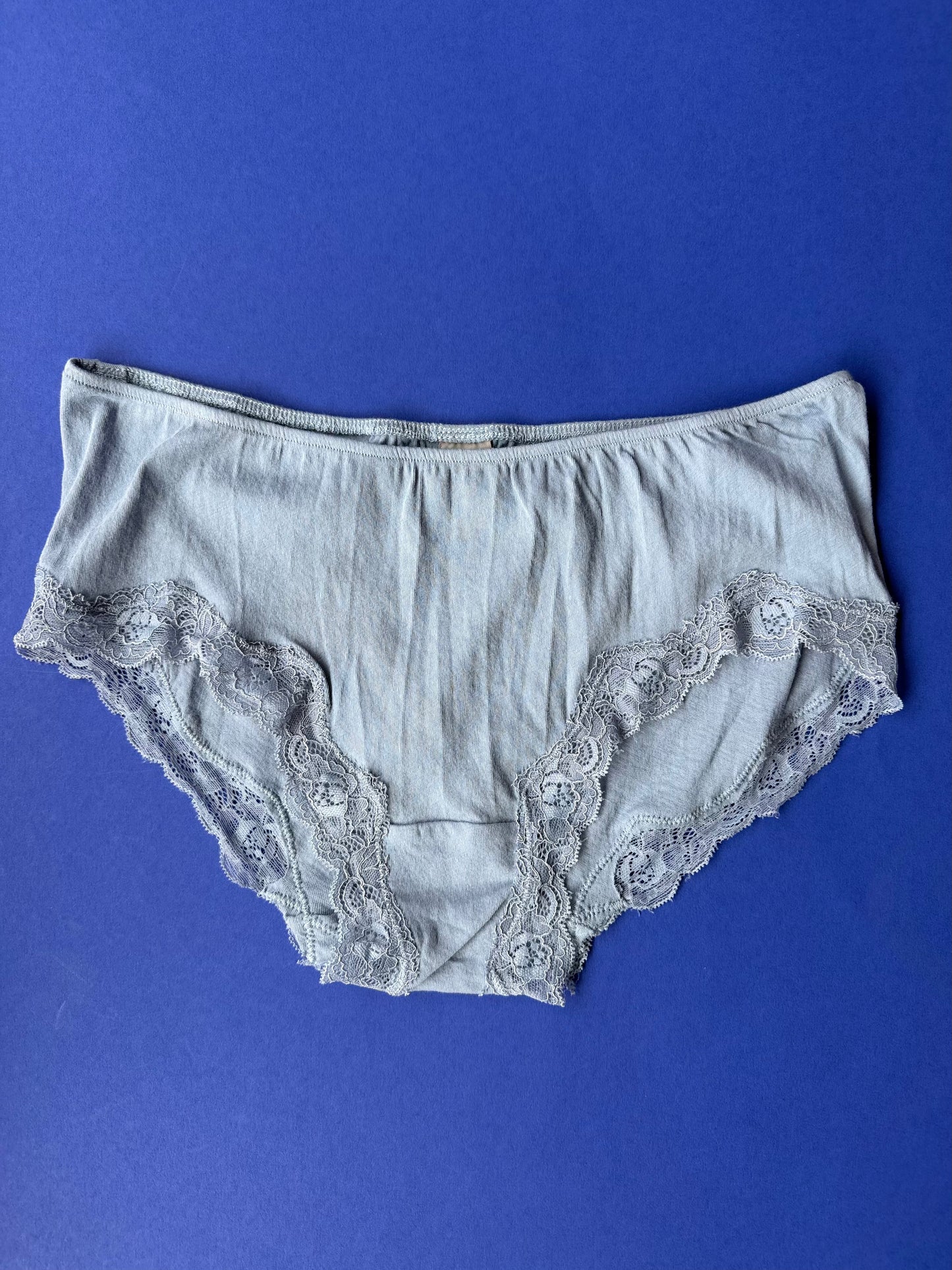 Only Hearts: Lace Trim Organic Cotton Hipster - Cascade