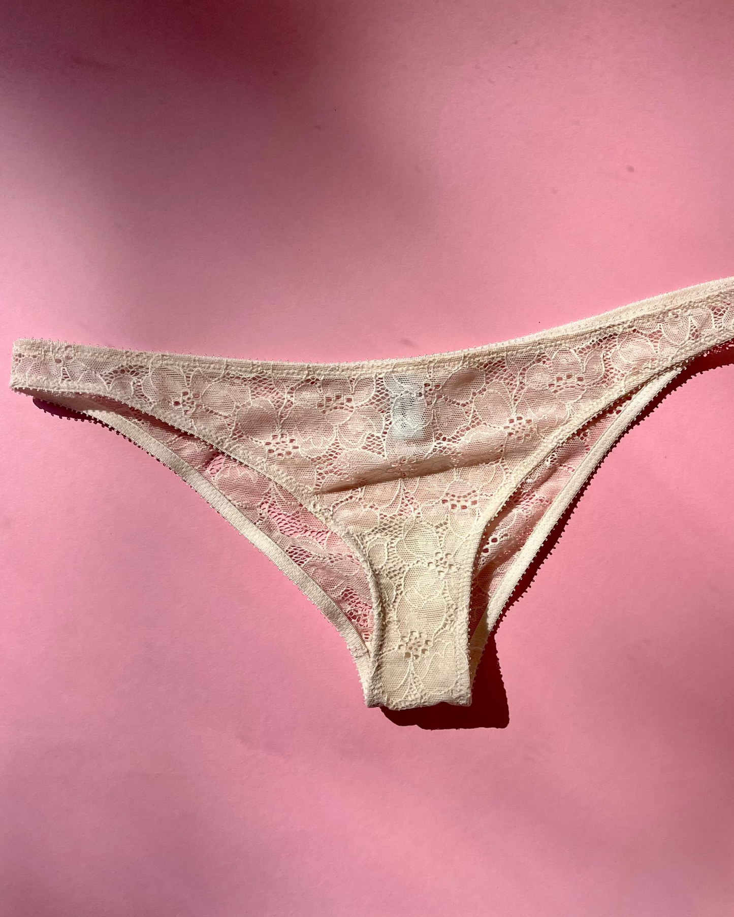 Yasmine Eslami: Louise Flower Lace Panty - Sand