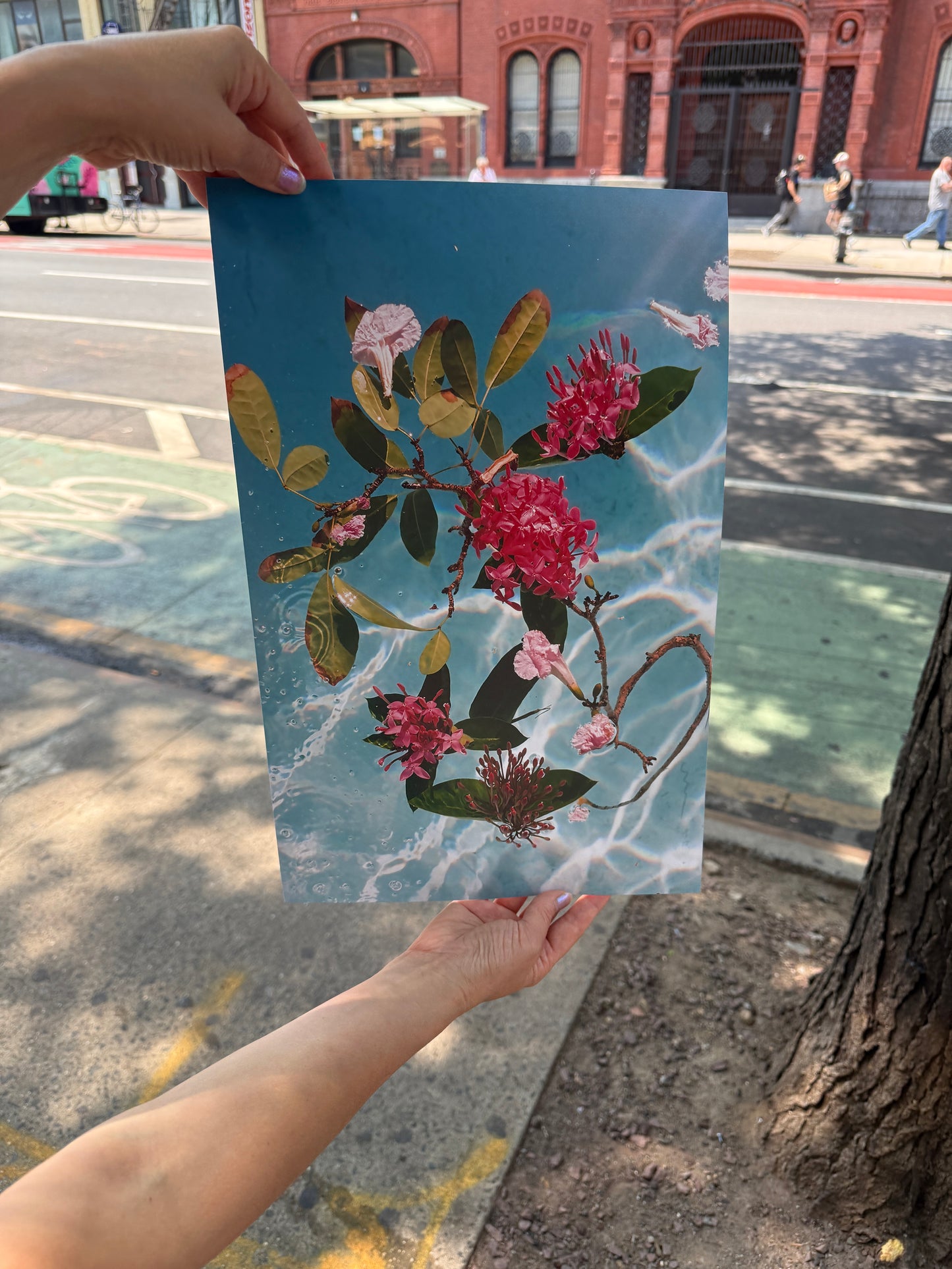 Mike Spears: Limited Edition Photograph