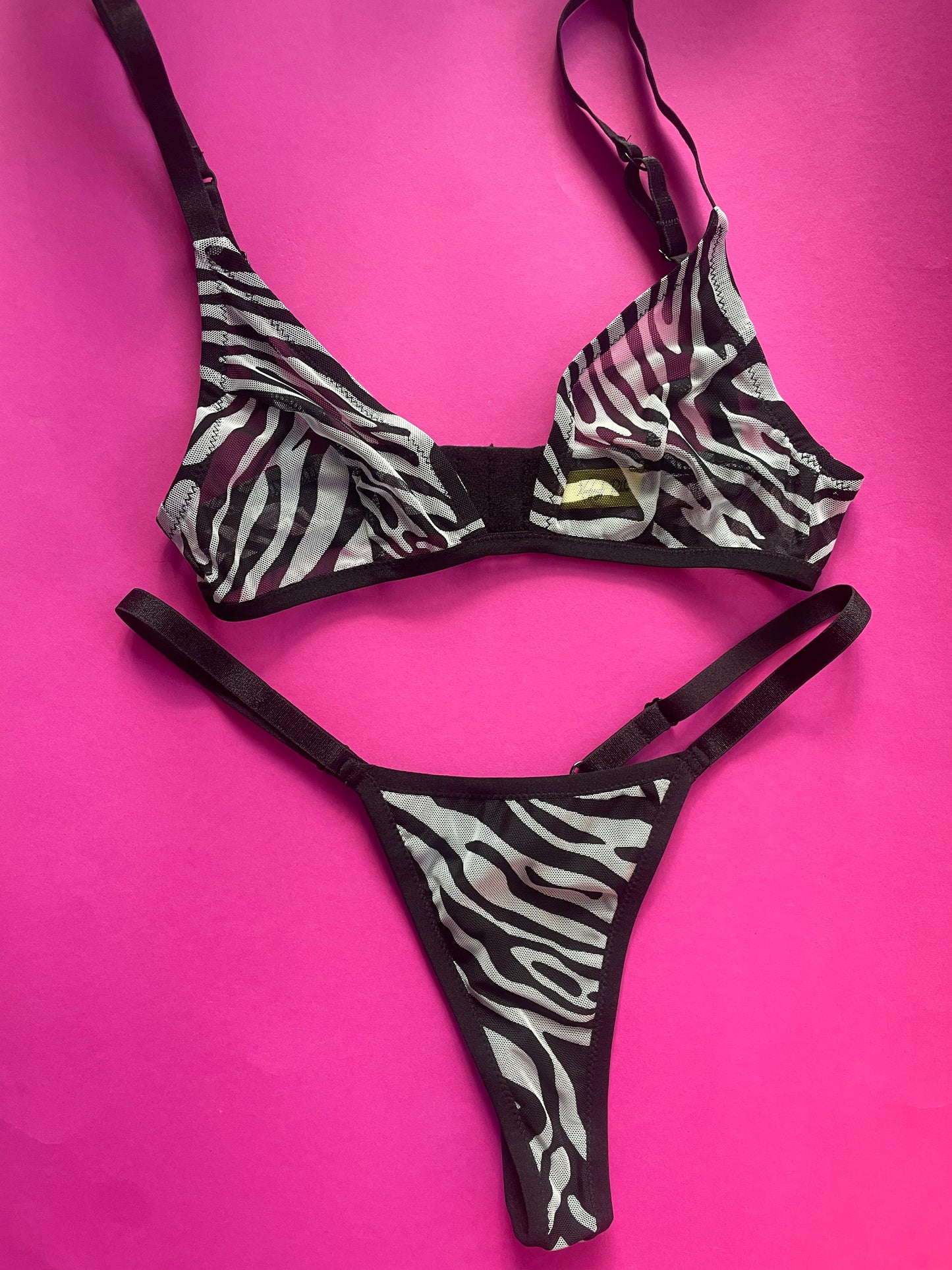 Kayleigh Peddie: Vanna Thong - Zebra