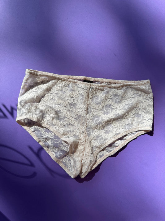 Only Hearts: Stretch Lace Iris Hipster Brief - Tinted