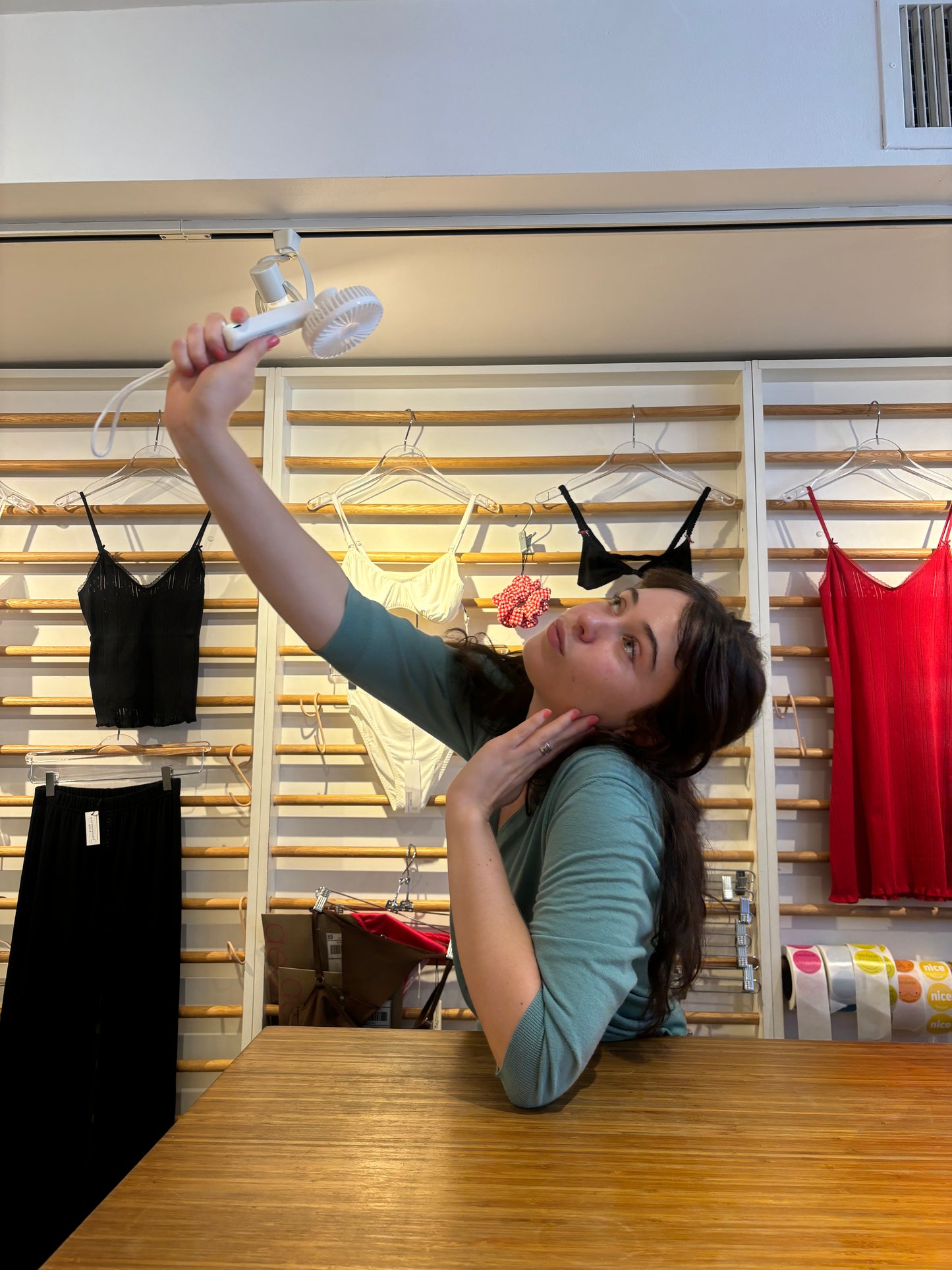 Azaleas: Rechargeable Hand Fan