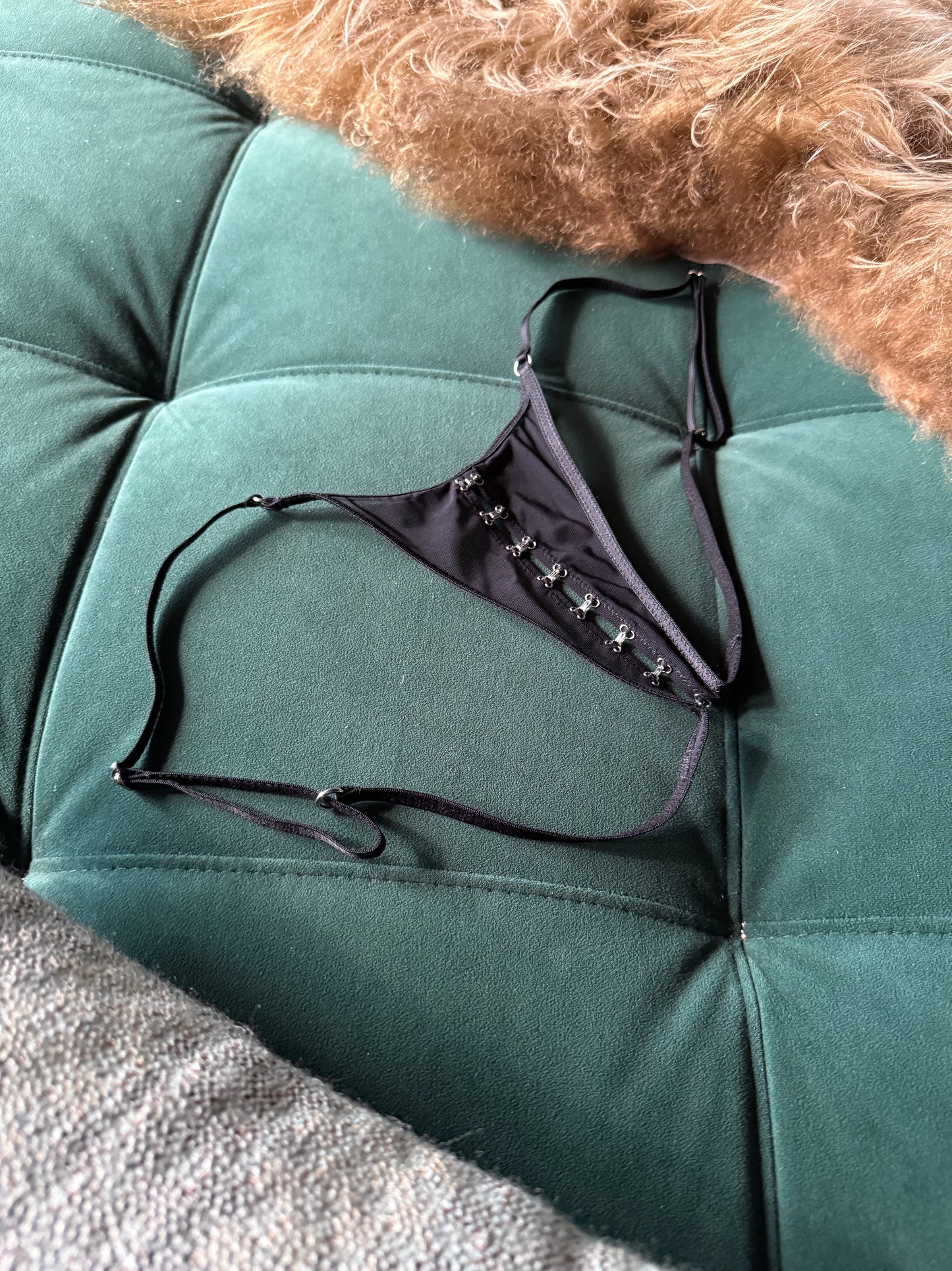 Anoeses: Bria Hook & Eye G-String - Black