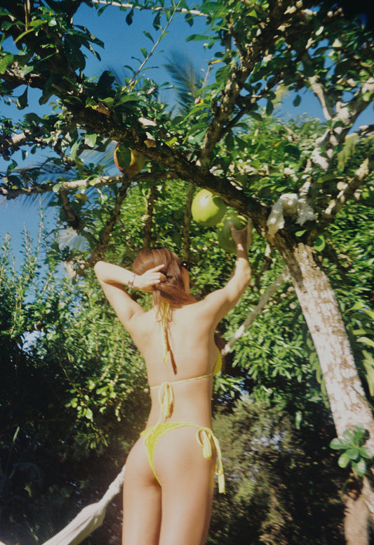 Acacia: Lauie Crochet Bikini Bottom - Pomelo