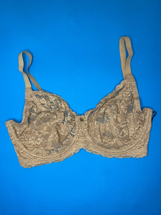 AnaOno Carrie Pocketed Lace Molded Cup Bra AO-091 Ivory