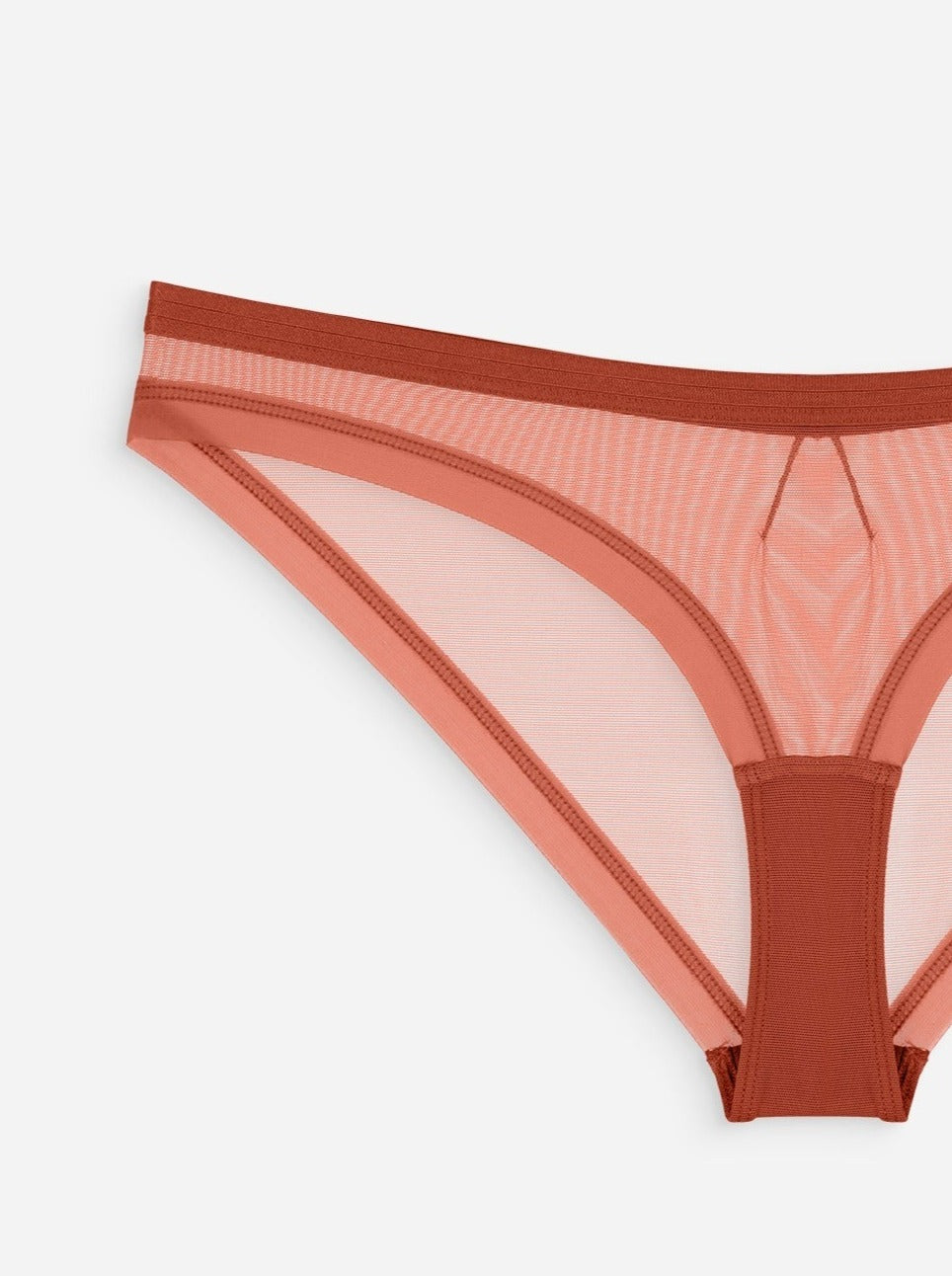 The Underargument: Learn from Your Body Mesh Brazilian Brief - Sienna