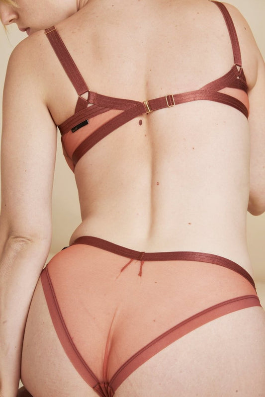 The Underargument: Learn from Your Body Mesh Brazilian Brief - Sienna
